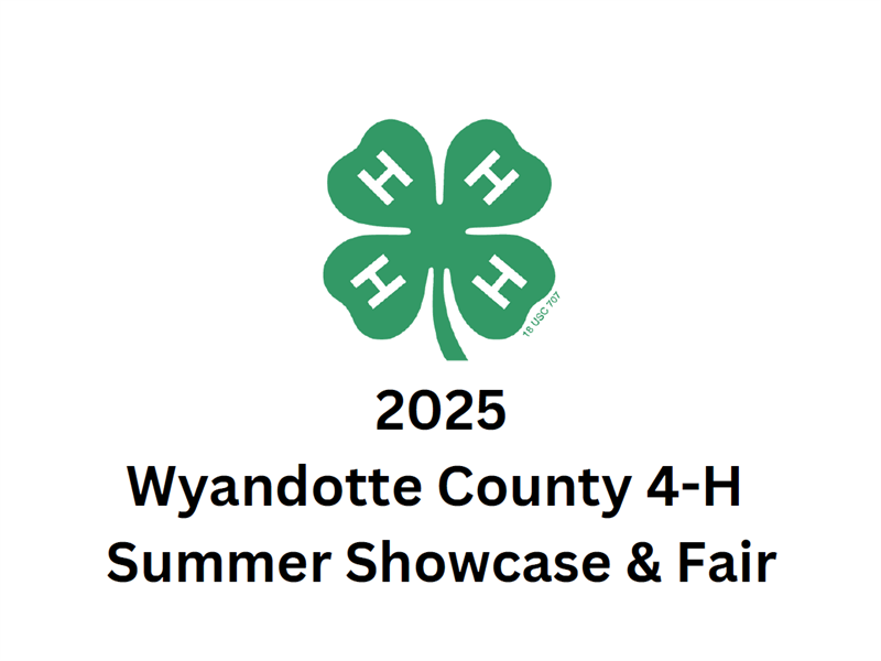 Fair Logo
