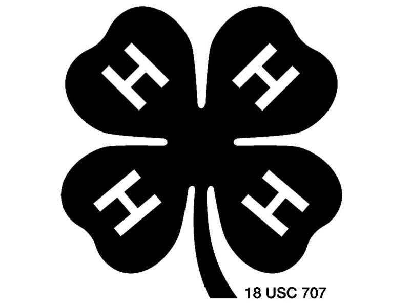 Logo for 2025 Stillwater County Fair