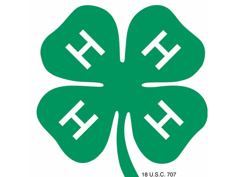 Logo for 2025 Mercer County Fair
