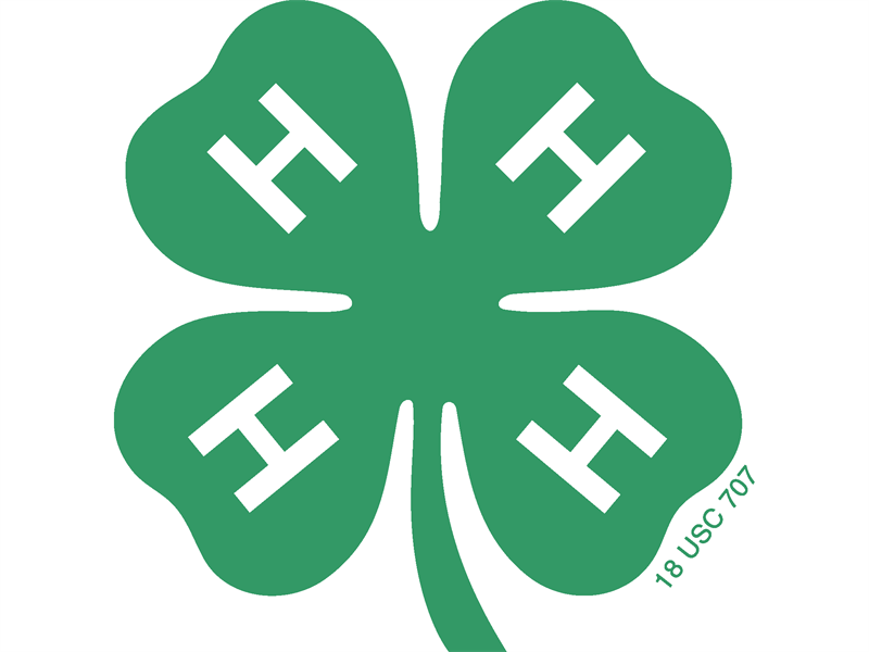 Logo for 2025 District 5 Horse Shows