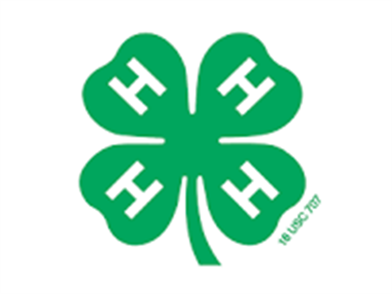 Logo for JUNE - 2025 WC 4-H Horse Show