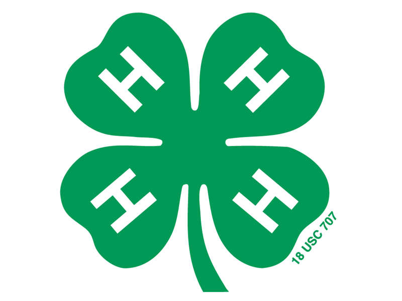 Logo for 2025 Harding County Fair