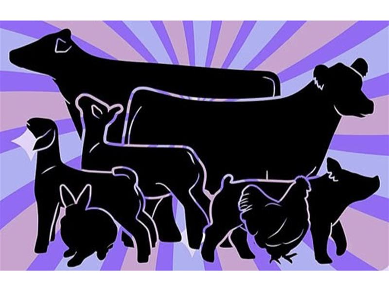 Logo for 2026 Clark County Fair